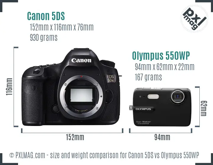 Canon 5DS vs Olympus 550WP size comparison