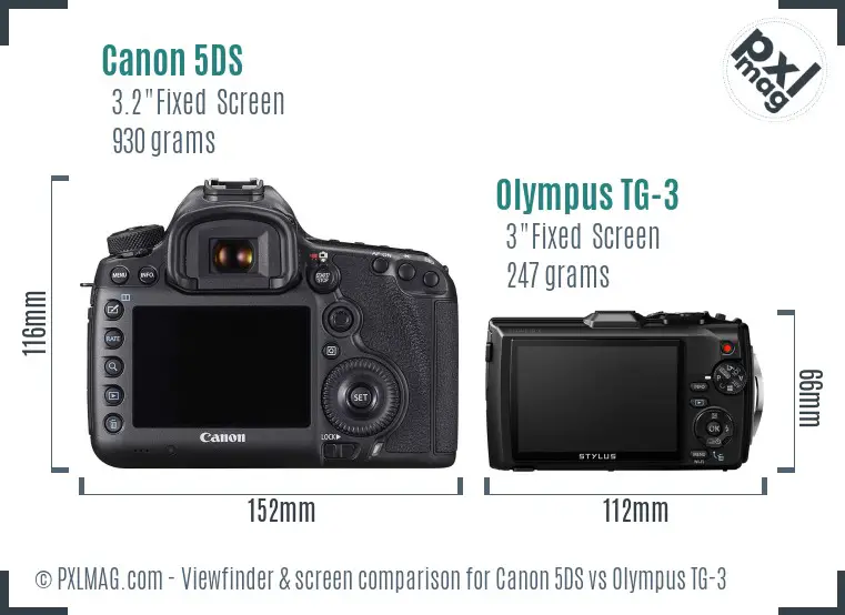 Canon 5DS vs Olympus TG-3 Screen and Viewfinder comparison