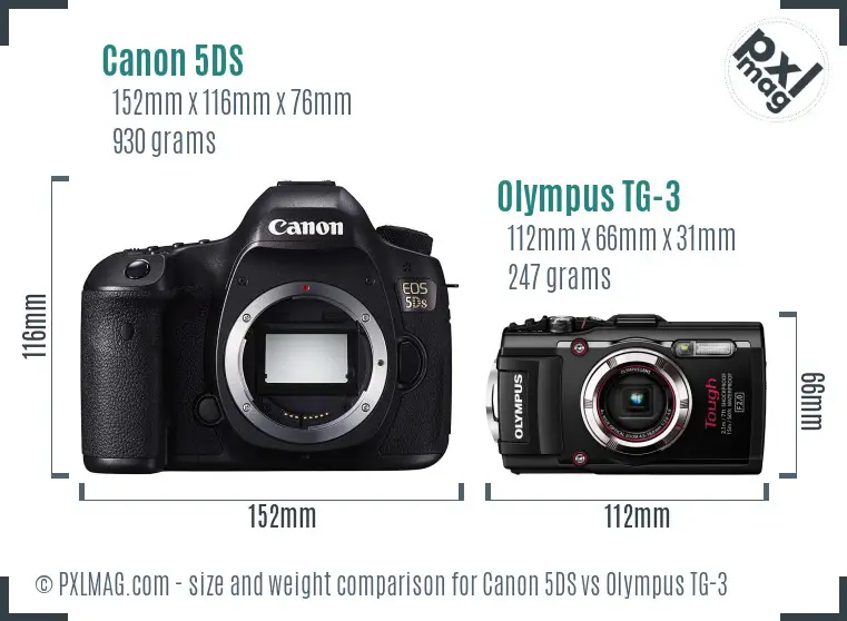 Canon 5DS vs Olympus TG-3 size comparison