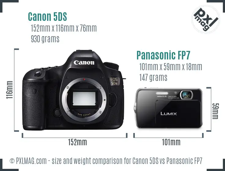 Canon 5DS vs Panasonic FP7 size comparison