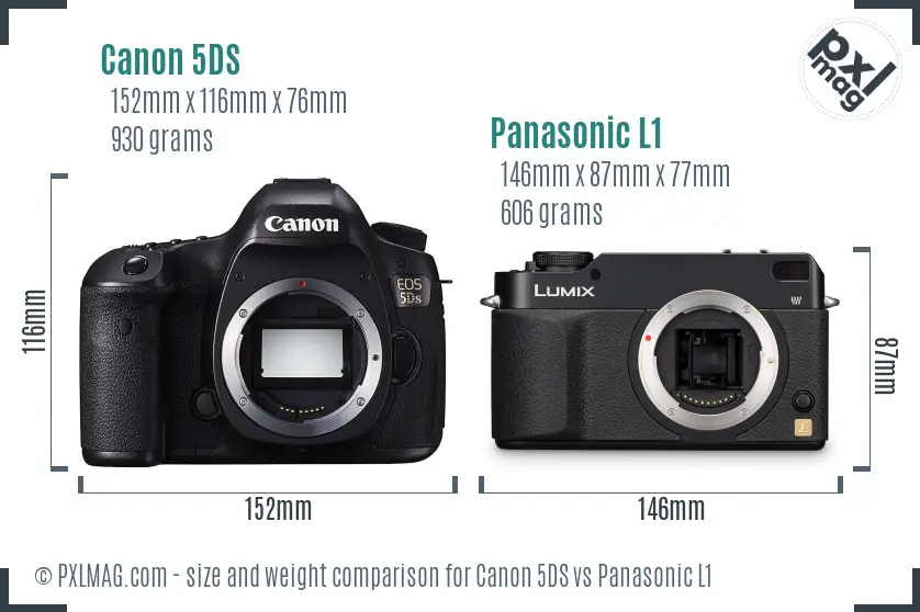 Canon 5DS vs Panasonic L1 size comparison