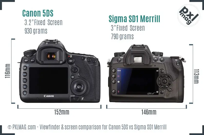 Canon 5DS vs Sigma SD1 Merrill Screen and Viewfinder comparison