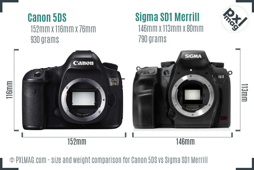 Canon 5DS vs Sigma SD1 Merrill size comparison