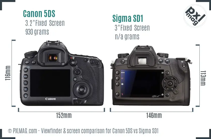 Canon 5DS vs Sigma SD1 Screen and Viewfinder comparison