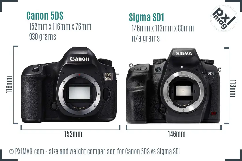 Canon 5DS vs Sigma SD1 size comparison