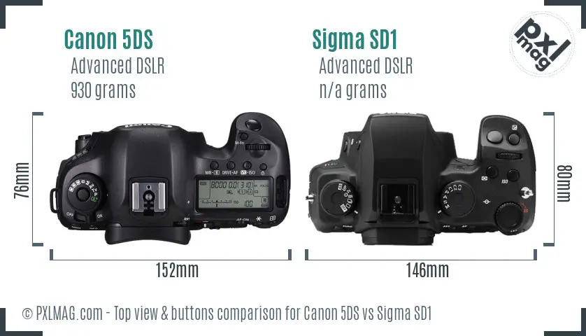 Canon 5DS vs Sigma SD1 top view buttons comparison