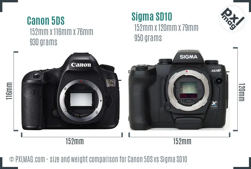 Canon 5DS vs Sigma SD10 size comparison