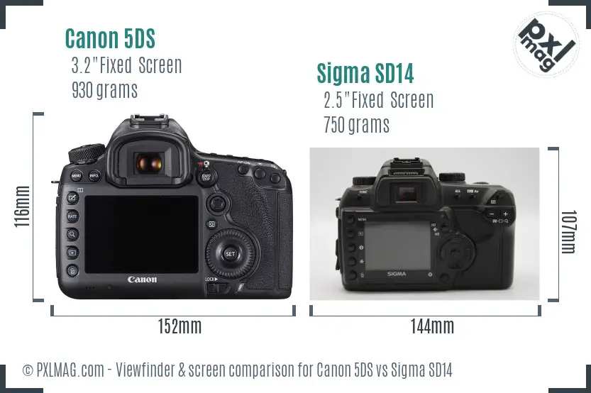 Canon 5DS vs Sigma SD14 Screen and Viewfinder comparison