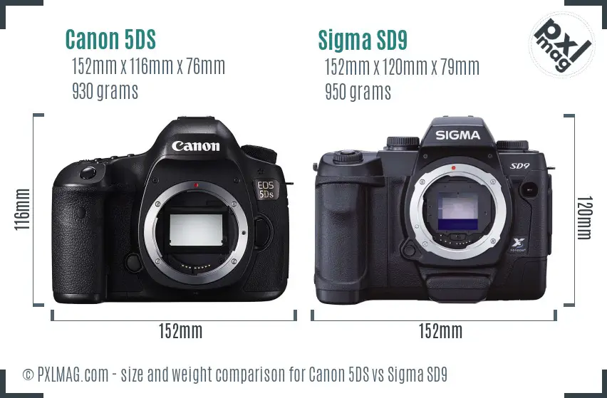Canon 5DS vs Sigma SD9 size comparison
