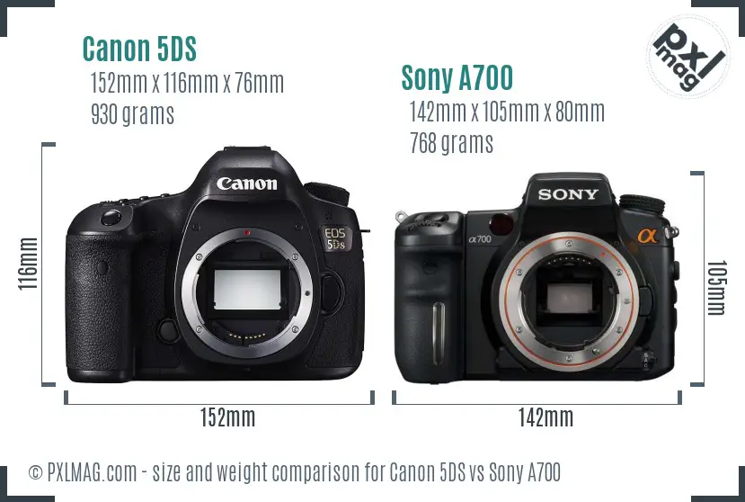 Canon 5DS vs Sony A700 size comparison