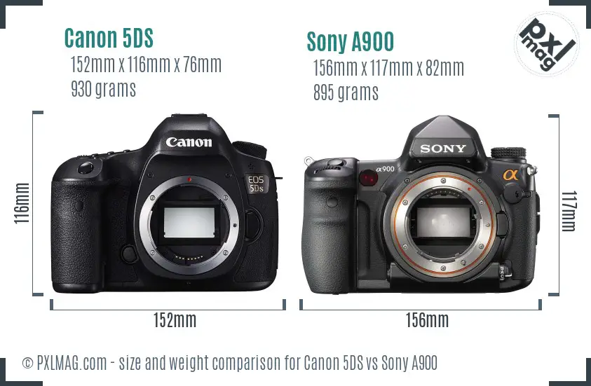 Canon 5DS vs Sony A900 size comparison