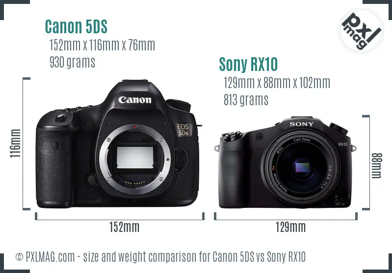 Canon 5DS vs Sony RX10 size comparison