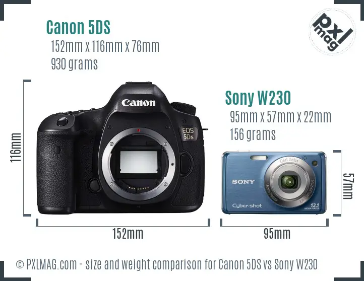 Canon 5DS vs Sony W230 size comparison