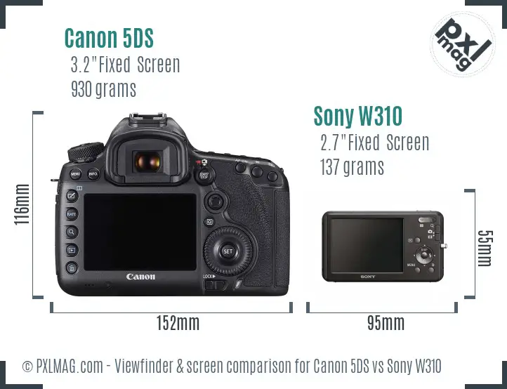Canon 5DS vs Sony W310 Screen and Viewfinder comparison