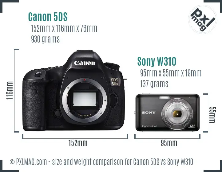 Canon 5DS vs Sony W310 size comparison
