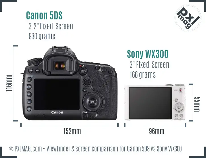 Canon 5DS vs Sony WX300 Screen and Viewfinder comparison