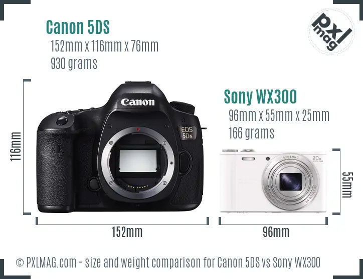 Canon 5DS vs Sony WX300 size comparison