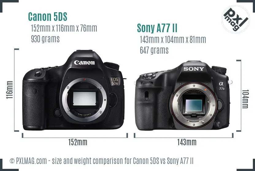 Canon 5DS vs Sony A77 II size comparison