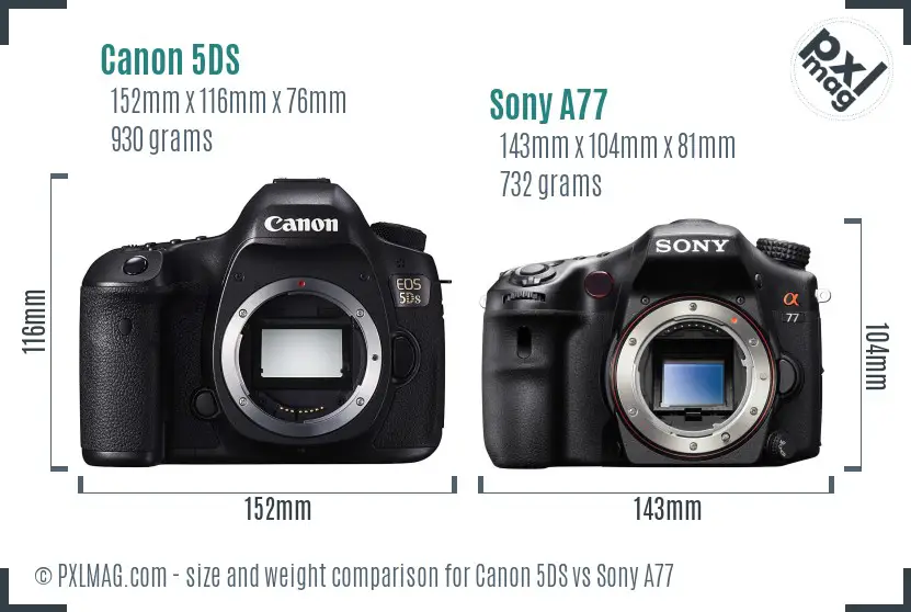 Canon 5DS vs Sony A77 size comparison