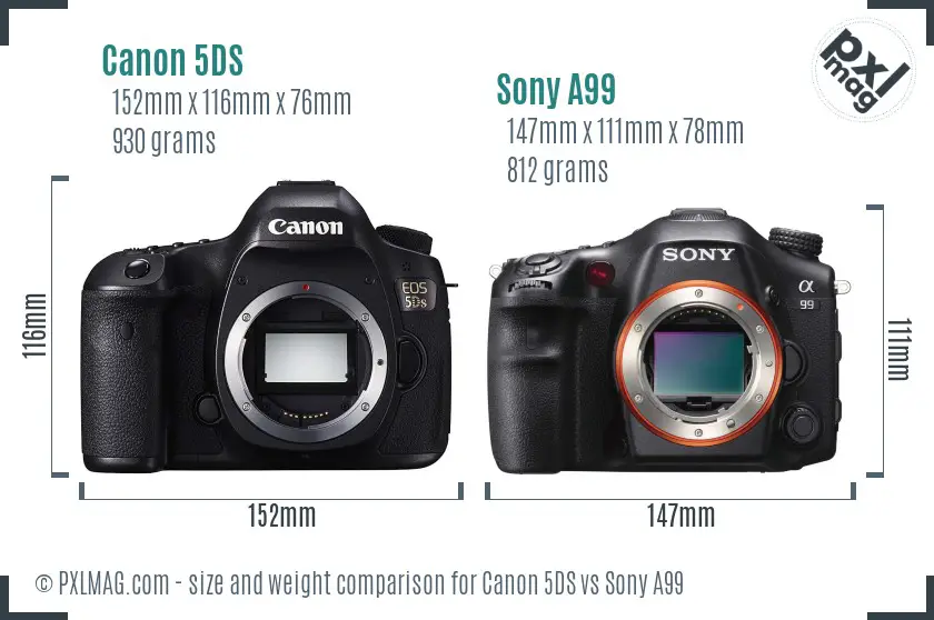 Canon 5DS vs Sony A99 size comparison