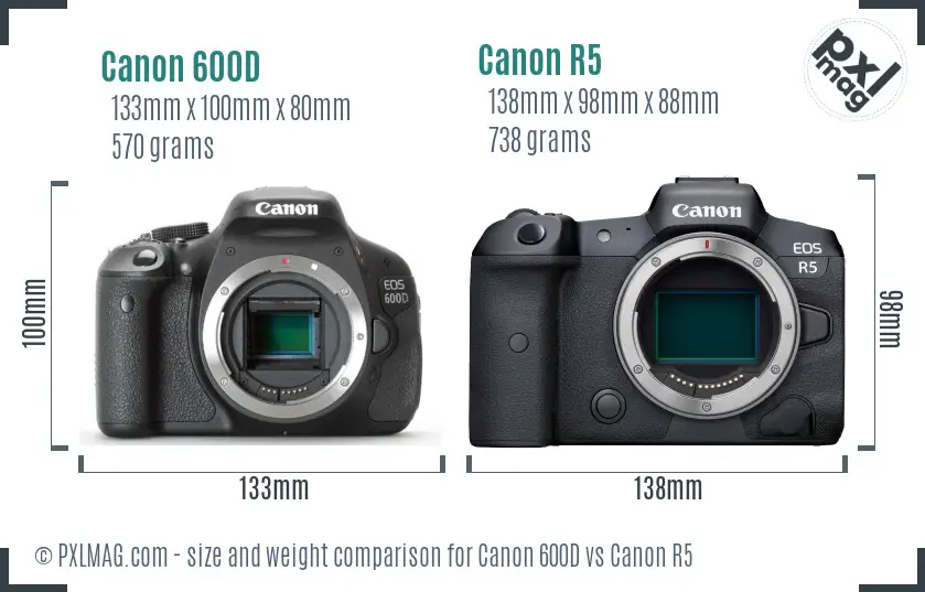Canon 600D vs Canon R5 size comparison
