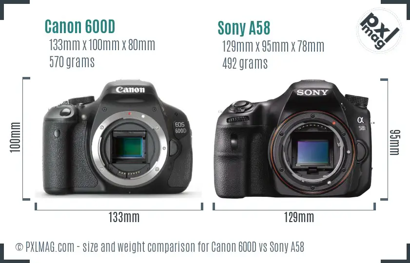 Canon 600D vs Sony A58 size comparison