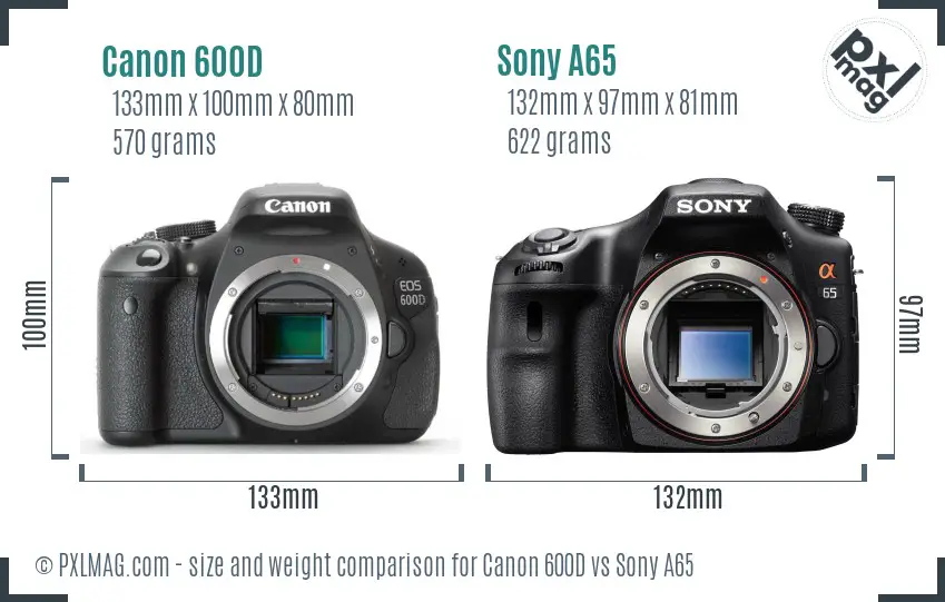 Canon 600D vs Sony A65 size comparison