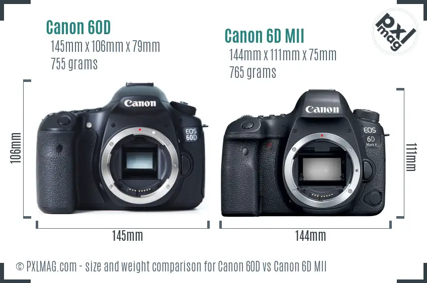 Canon 60D vs Canon 6D MII size comparison