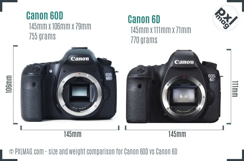 Canon 60D vs Canon 6D size comparison