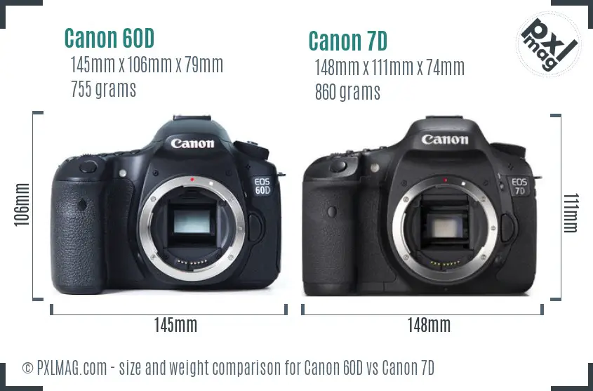 Canon 60D vs Canon 7D size comparison