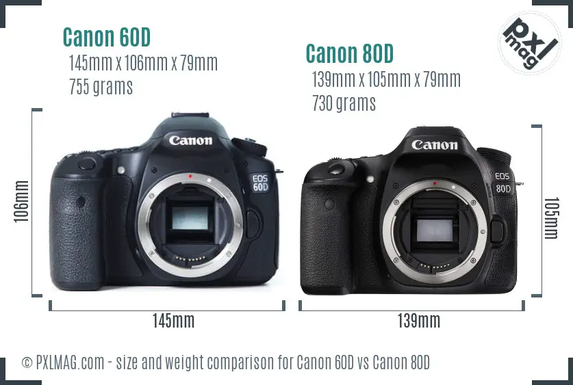 Canon 60D vs Canon 80D size comparison