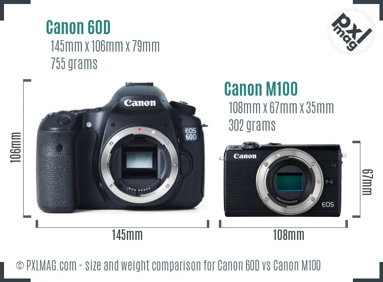 Canon 60D and Canon M100 Size Comparison