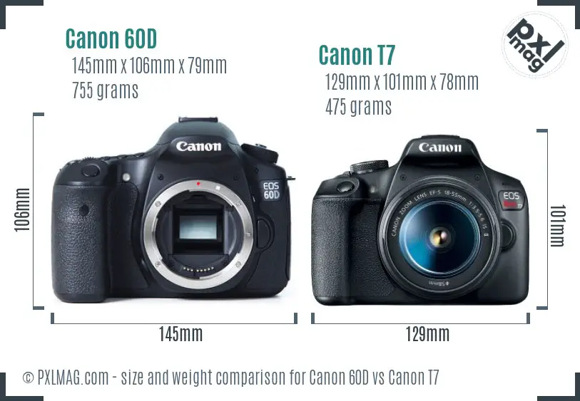 Canon 60D vs Canon T7 size comparison Canon 60D vs Canon T7 size comparison