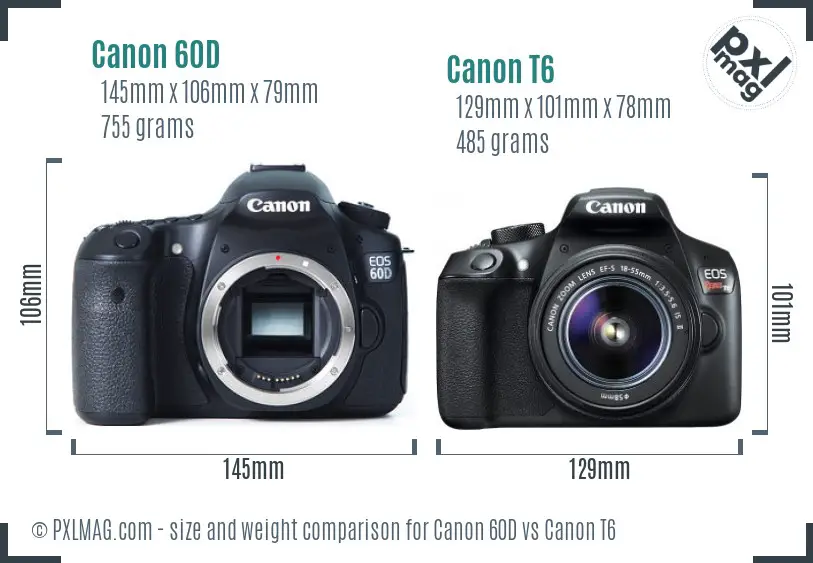 Canon 60D vs Canon T6 size comparison