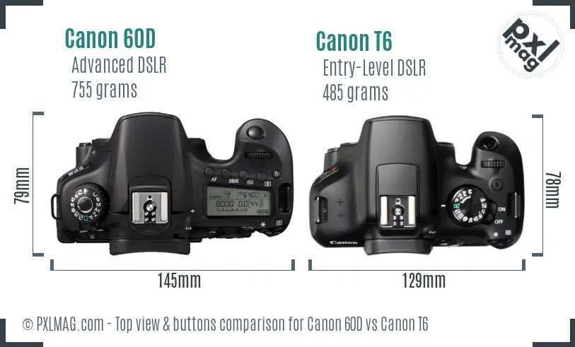 Canon 60D vs Canon T6 top view buttons comparison