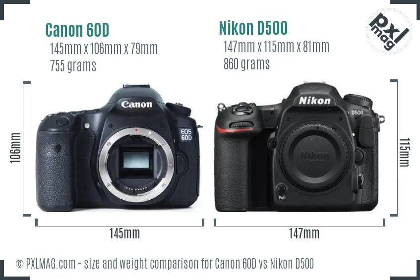 Canon 60D vs Nikon D500 size comparison