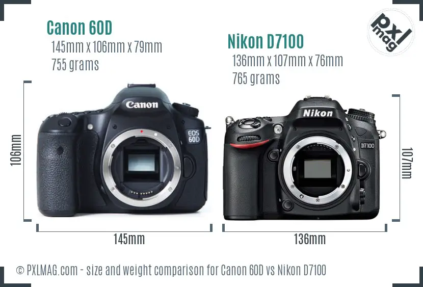 Canon 60D vs Nikon D7100 size comparison