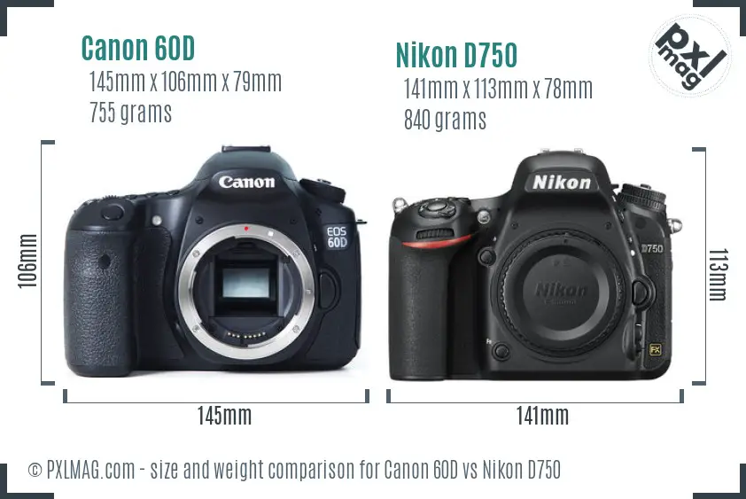 Canon 60D vs Nikon D750 size comparison