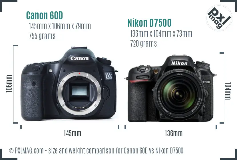 Canon 60D vs Nikon D7500 size comparison