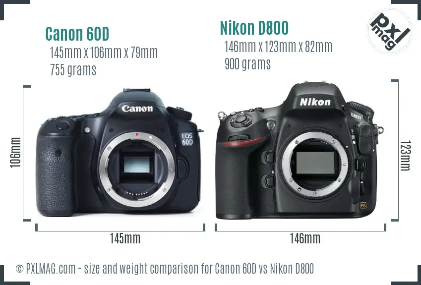 Canon 60D vs Nikon D800 size comparison