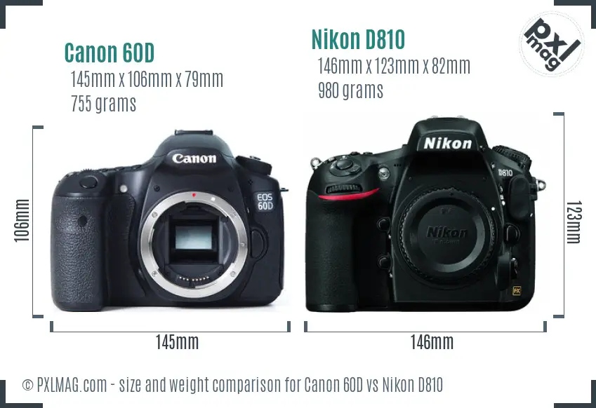 Canon 60D vs Nikon D810 size comparison