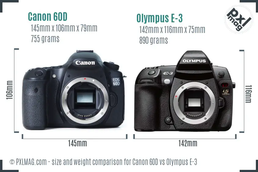 Canon 60D vs Olympus E-3 size comparison