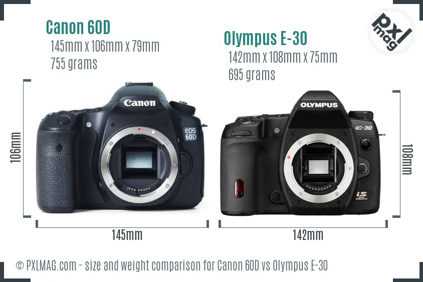 Canon 60D vs Olympus E-30 size comparison