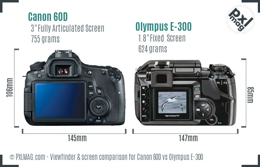 Canon 60D vs Olympus E-300 Screen and Viewfinder comparison