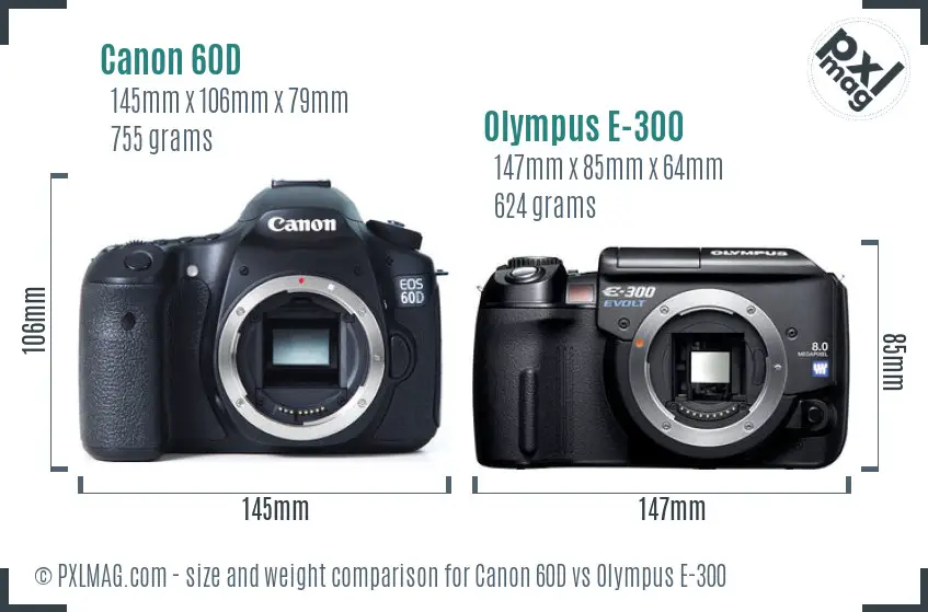 Canon 60D vs Olympus E-300 size comparison