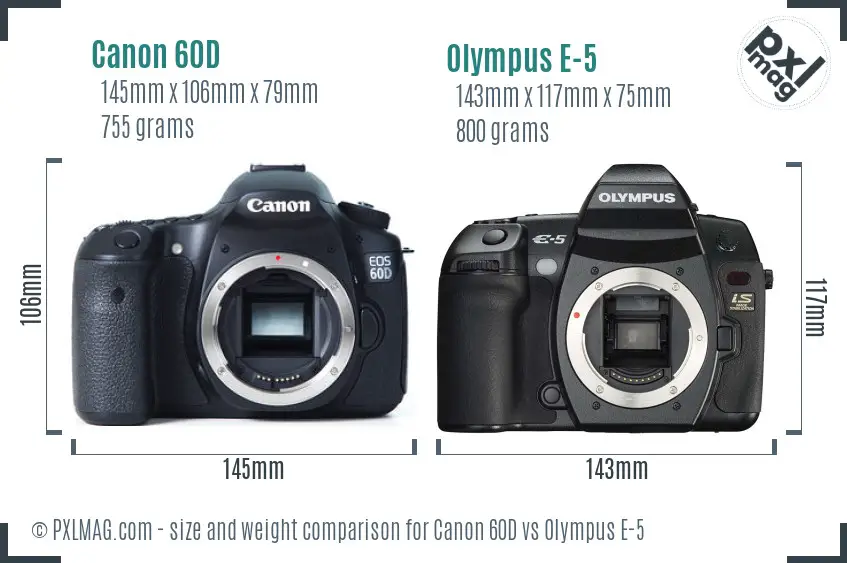 Canon 60D vs Olympus E-5 size comparison