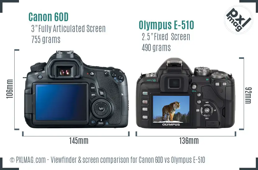 Canon 60D vs Olympus E-510 Screen and Viewfinder comparison