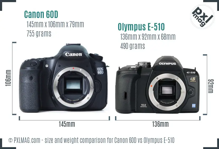 Canon 60D vs Olympus E-510 size comparison
