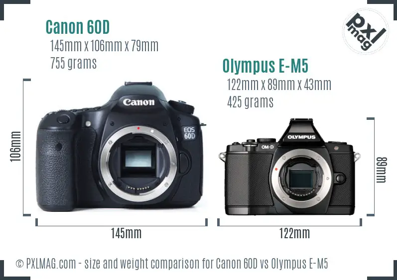 Canon 60D vs Olympus E-M5 size comparison