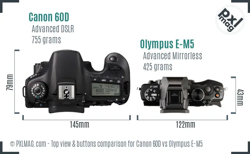 Canon 60D vs Olympus E-M5 top view buttons comparison